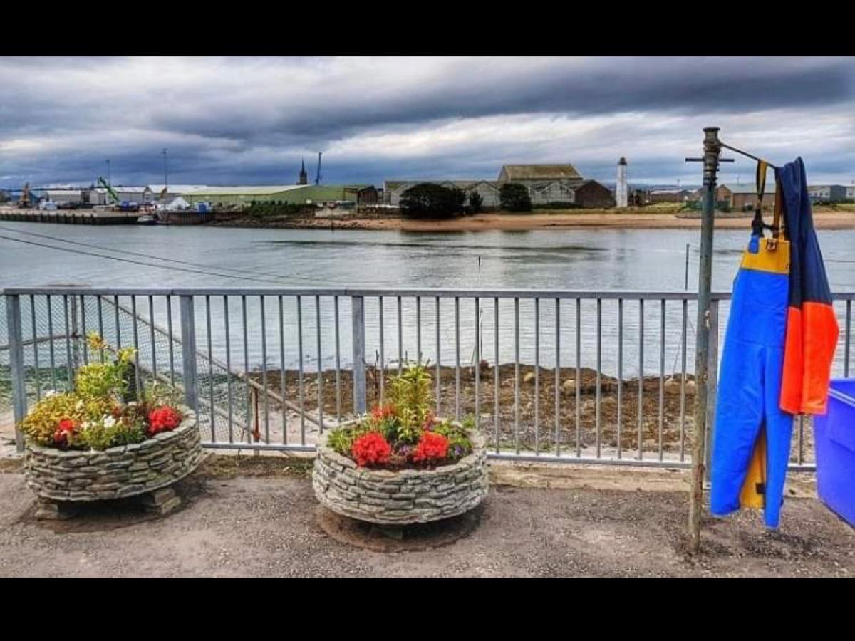 Villa The Thin Seagull 4 Beacon Terrace Ferryden Esterno foto